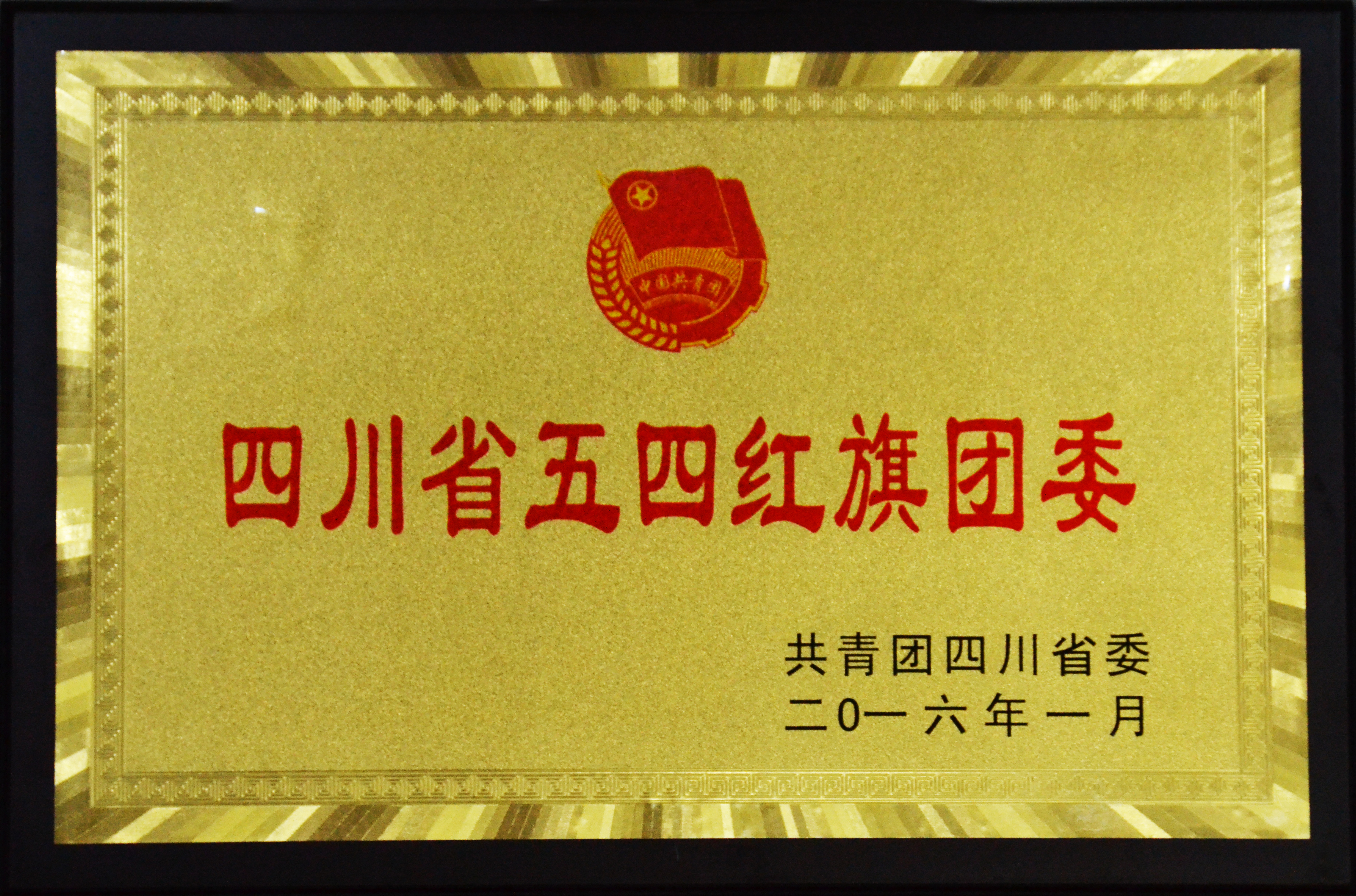 四川省五四红旗团委